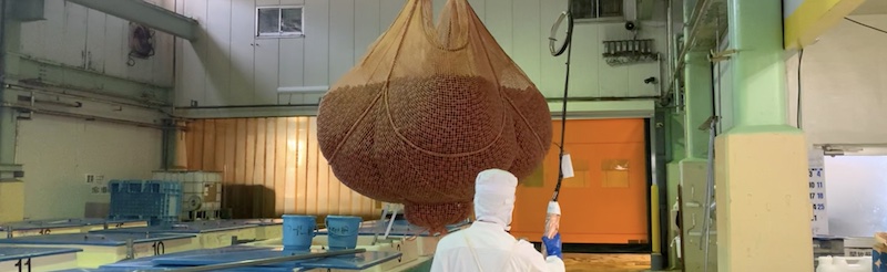 工場での製造風景